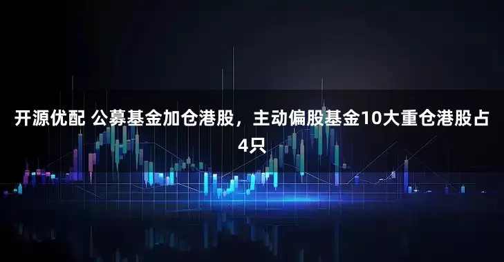 开源优配 公募基金加仓港股，主动偏股基金10大重仓港股占4只