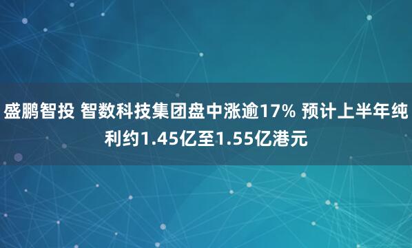 盛鹏智投 智数科技集团盘中涨逾17% 预计上半年纯利约1.45亿至1.55亿港元