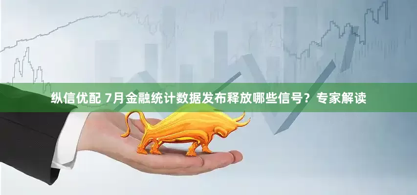 纵信优配 7月金融统计数据发布释放哪些信号？专家解读