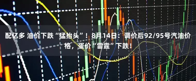 配亿多 油价下跌“猛抬头”！8月14日：调价后92/95号汽油价格，蛋价“雷霆”下跌！