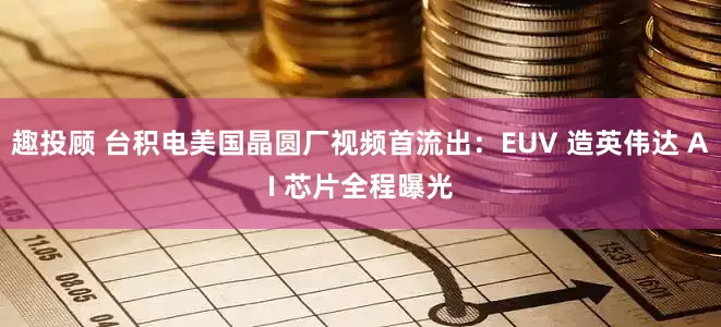 趣投顾 台积电美国晶圆厂视频首流出：EUV 造英伟达 AI 芯片全程曝光